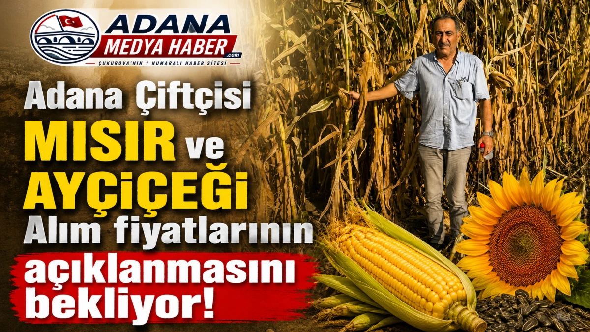 Adana &Ccedil;ift&ccedil;isi MISIR ve AY&Ccedil;İ&Ccedil;EĞİ Alım fiyatlarının a&ccedil;ıklanmasını bekliyor!