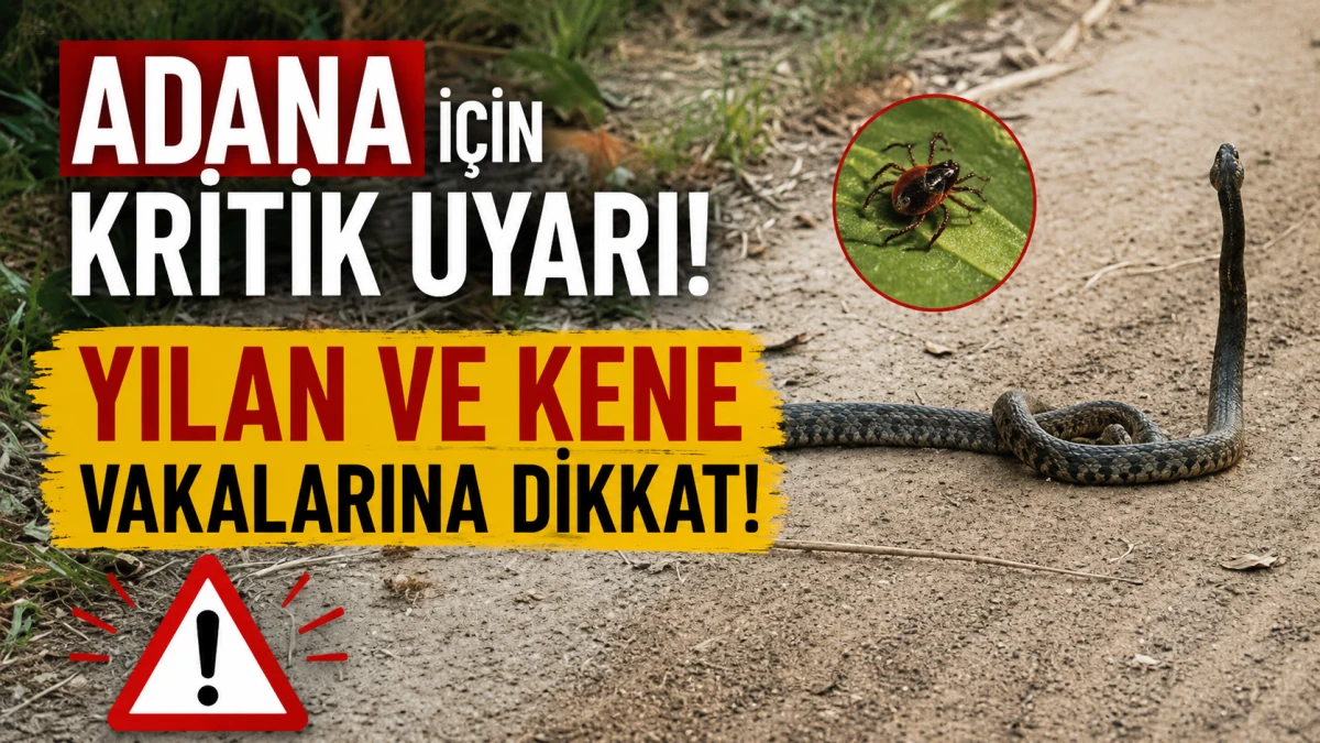 Adana i&ccedil;in kritik uyarı! YILAN VE KENE VAKALARINA DİKKAT!
