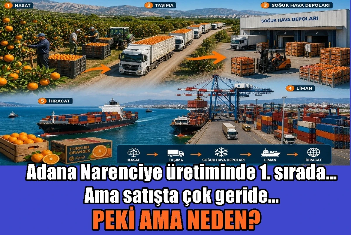 Adana Narenciye &uuml;retiminde 1. sırada... Ama satışta &ccedil;ok geride... Peki ama neden? 