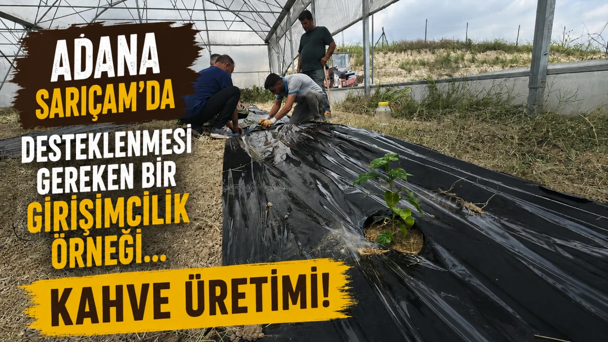 Adana Sarı&ccedil;am'da desteklenmesi gereken bir girişimcilik &ouml;rneği... KAHVE &Uuml;RETİMİ! 
