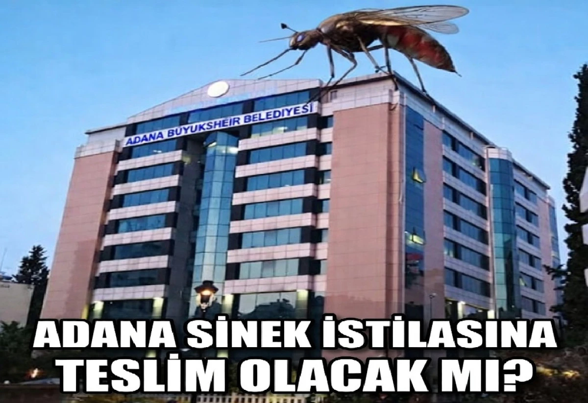 Adana SİNEK İSTİLASINA teslim olacak mı? 