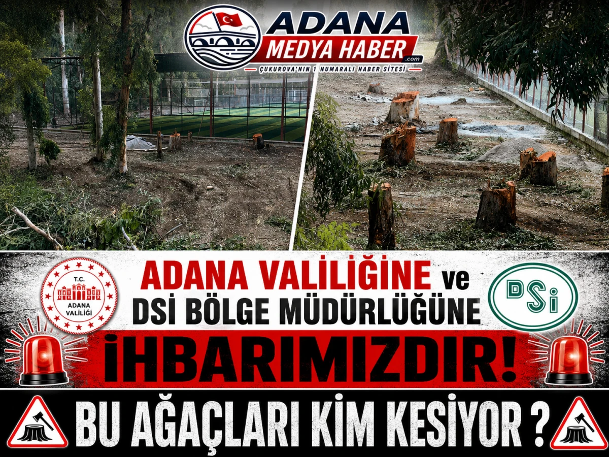 ADANA VALİLİĞİNE ve DSİ B&Ouml;LGE M&Uuml;D&Uuml;RL&Uuml;Ğ&Uuml;NE İHBARIMIZDIR! BU AĞA&Ccedil;LARI KİM KESİYOR ?