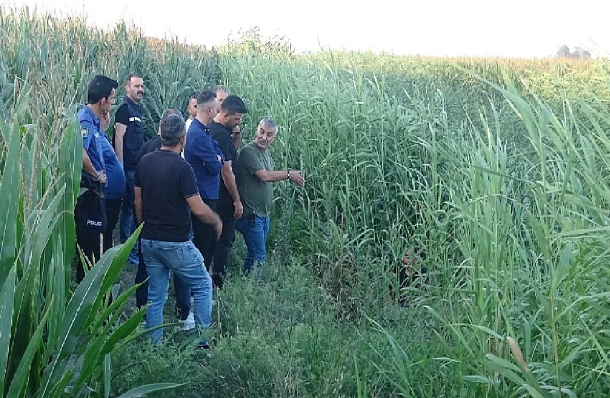 Burası Adana / Ceyhan... Dere yatağında Erkek cesedi bulundu! 