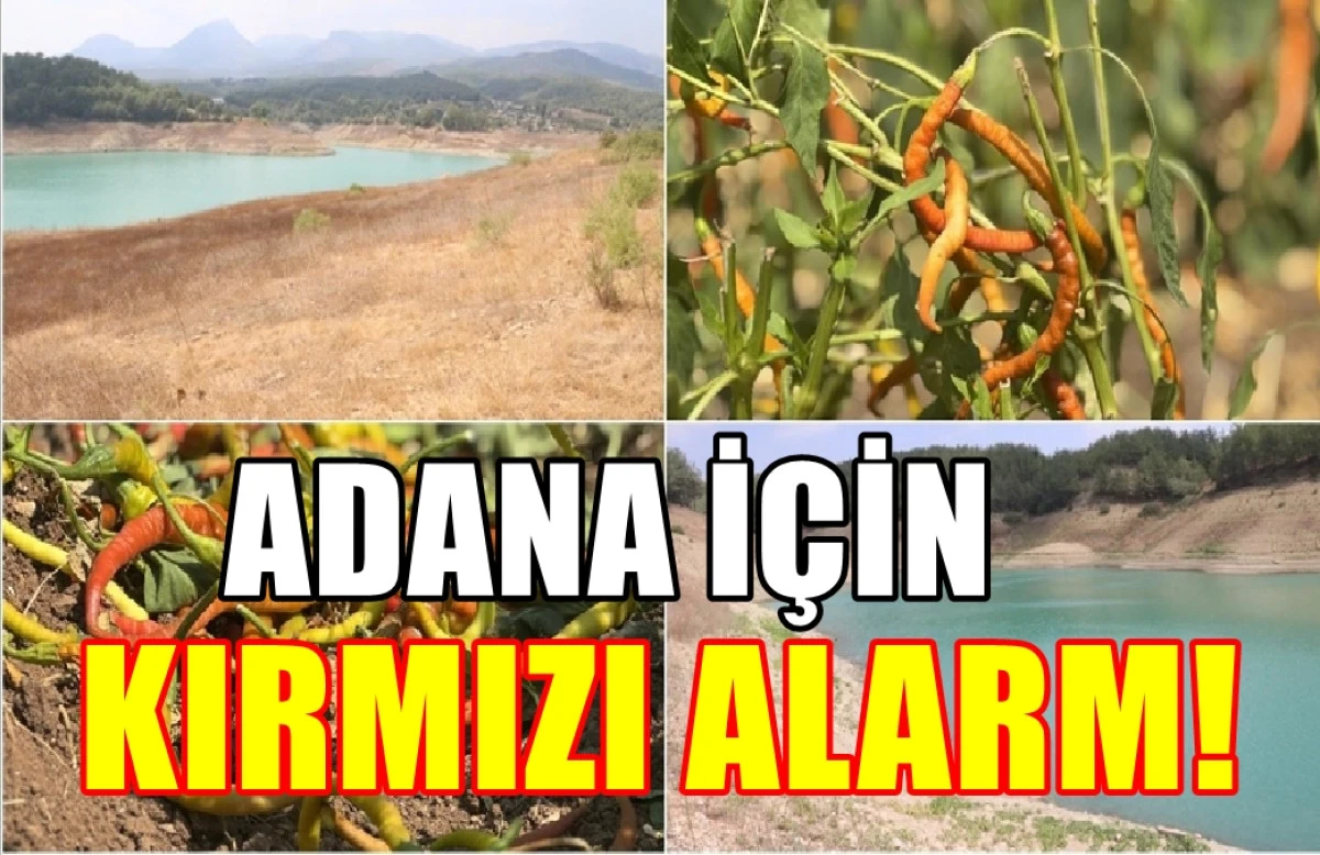 Burası Adana... Susuzluk kapıda değil... Susuzluk geldi... KIRMIZI ALARM!