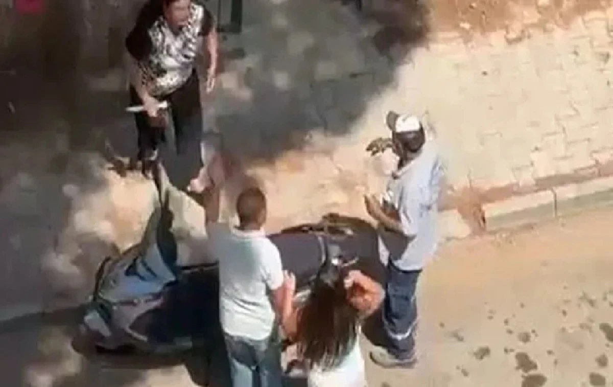 Burası Adana / Yüreğir / Sinanpaşa... Sen nasıl bir Annesin! 10 yaşında ki kızını bıçakla kovaladı! 