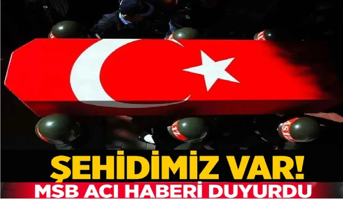 Cennet'te bir kişi daha fazlayız... 