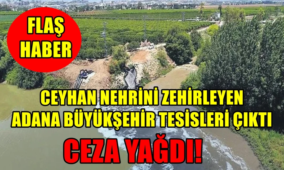Ceyhan Nehrini zehirleyen Adana Büyükşehir'e CEZA YAĞDI! 