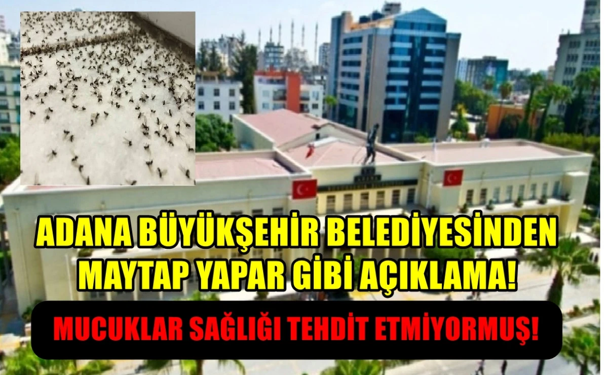 CHP'li ABB'den MUCUK istilasına MAYTAP GEÇER gibi açıklama! 