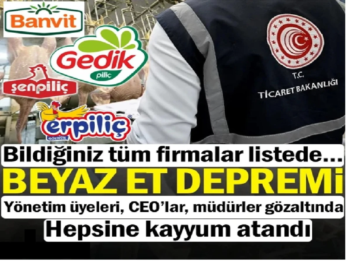 DEV OPERASYON! Hepsine kayyum atandı! 