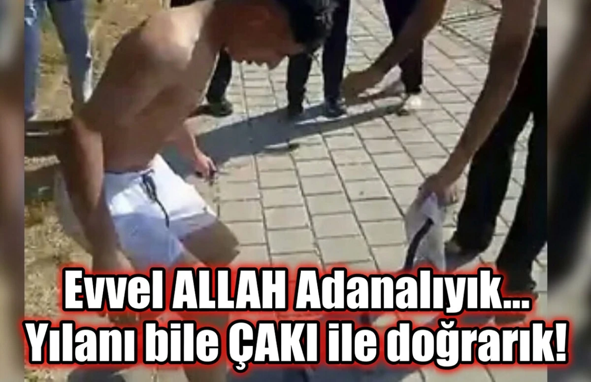 Evvel ALLAH Adanalıyık... Yılanı bile &Ccedil;AKI ile doğrarık! 