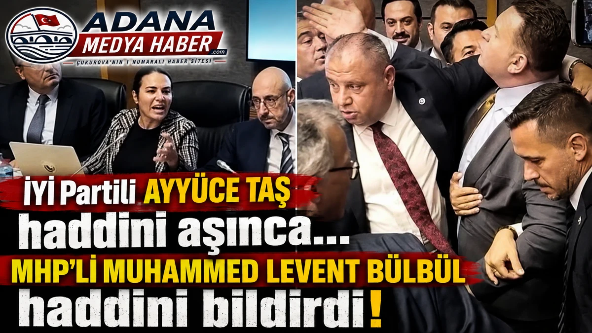 İYİ Partili AYY&Uuml;CE TAŞ haddini aşınca...MHP'Lİ MUHAMMED LEVENT B&Uuml;LB&Uuml;L haddini bildirdi! 