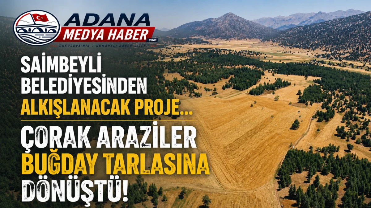Saimbeyli Belediyesinden alkışlanacak proje... &Ccedil;orak Araziler Buğday Tarlasına D&ouml;n&uuml;şt&uuml;! 