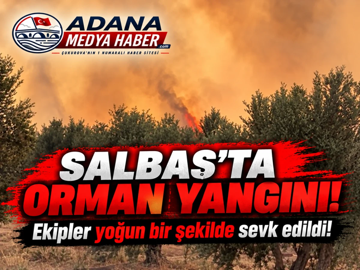 SALBAŞ'TA ORMAN YANGINI! Ekipler yoğun bir şekilde sevk edildi!