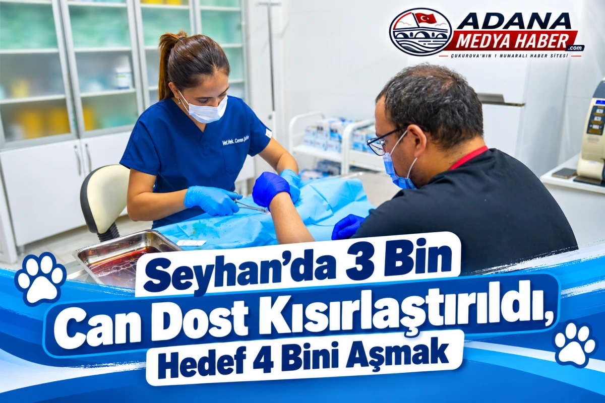 Seyhan&rsquo;da 3 Bin Can Dost Kısırlaştırıldı, Hedef 4 Bini Aşmak