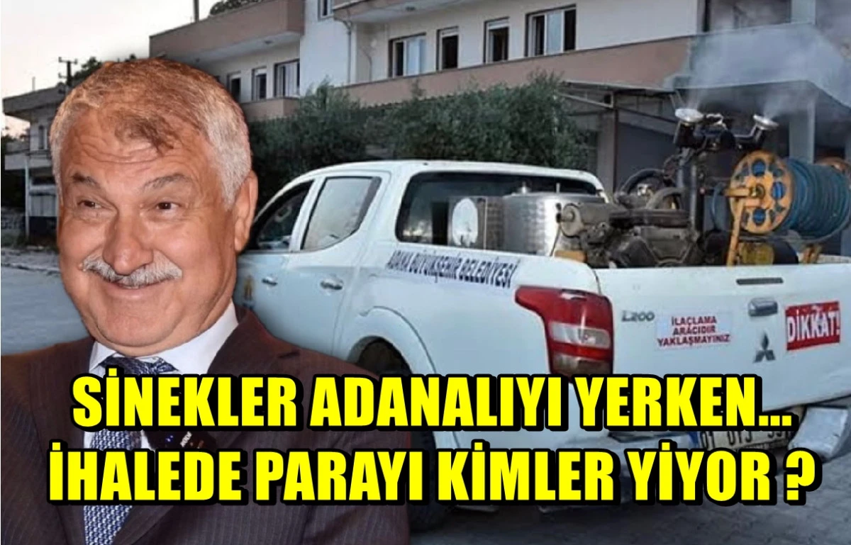 Sinekler ADANALIYI yerken... İhalede paraları kimler yiyor ? 