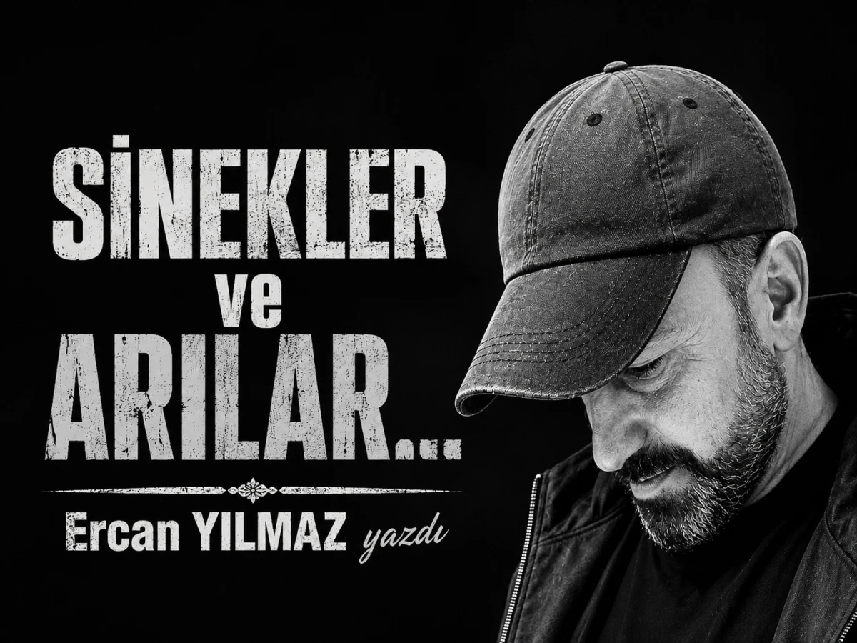 SİNEKLER ve ARILAR... 