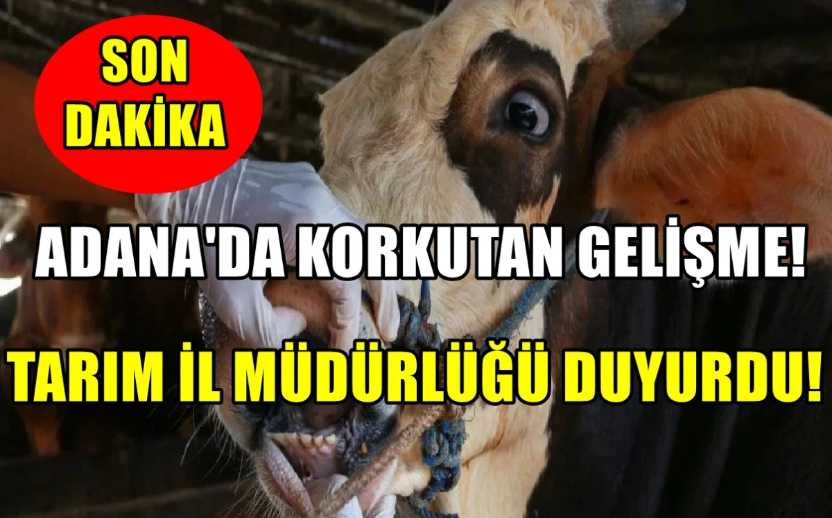 SON DAKİKA... Adana'da korkutan gelişme... Tarım İl Müdürlüğü duyurdu! 