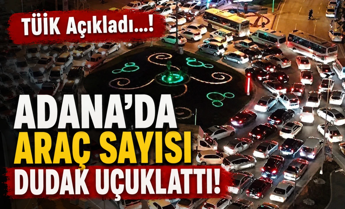 T&Uuml;İK A&ccedil;ıkladı...! Adana'da ARA&Ccedil; sayısı dudak u&ccedil;uklattı!
