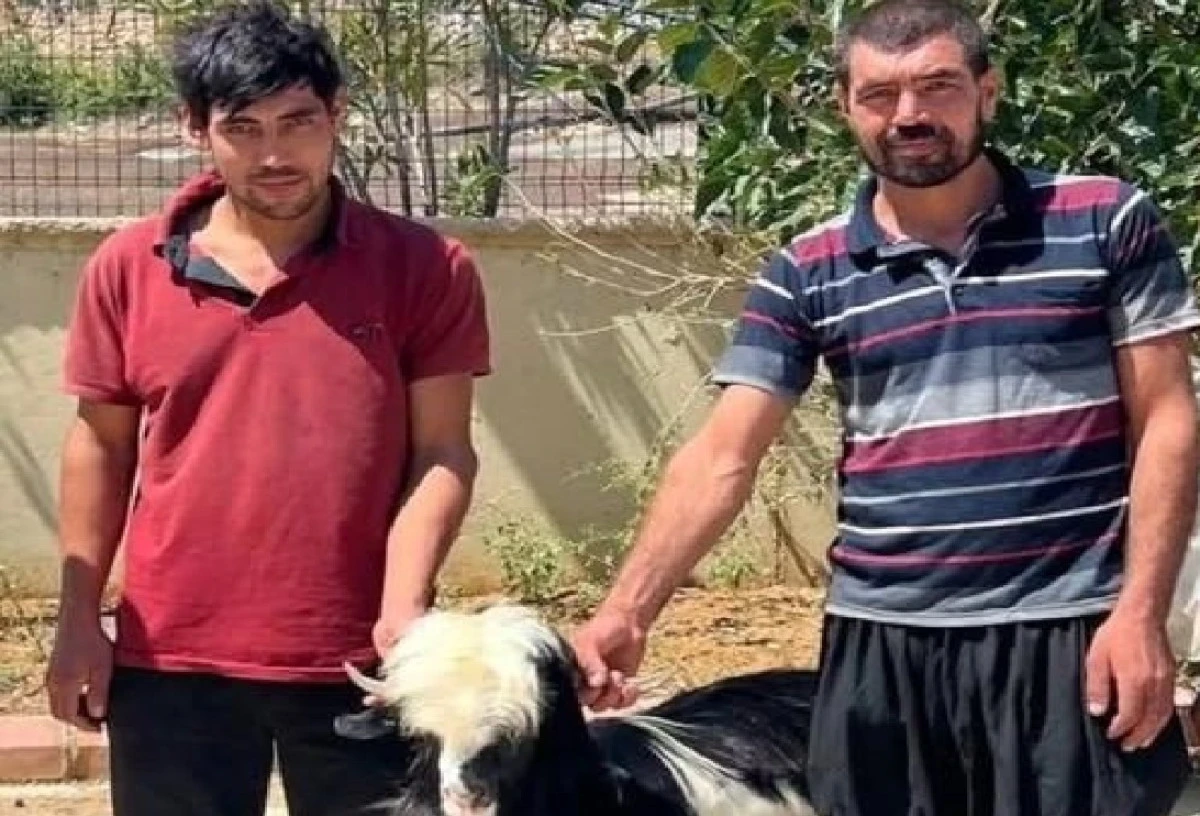 Yer : Adana / Kozan / Işıkkaya... Keçiyi çaldılar... Yakalandılar... Adli kontrol ile serbest bırakıldılar... 