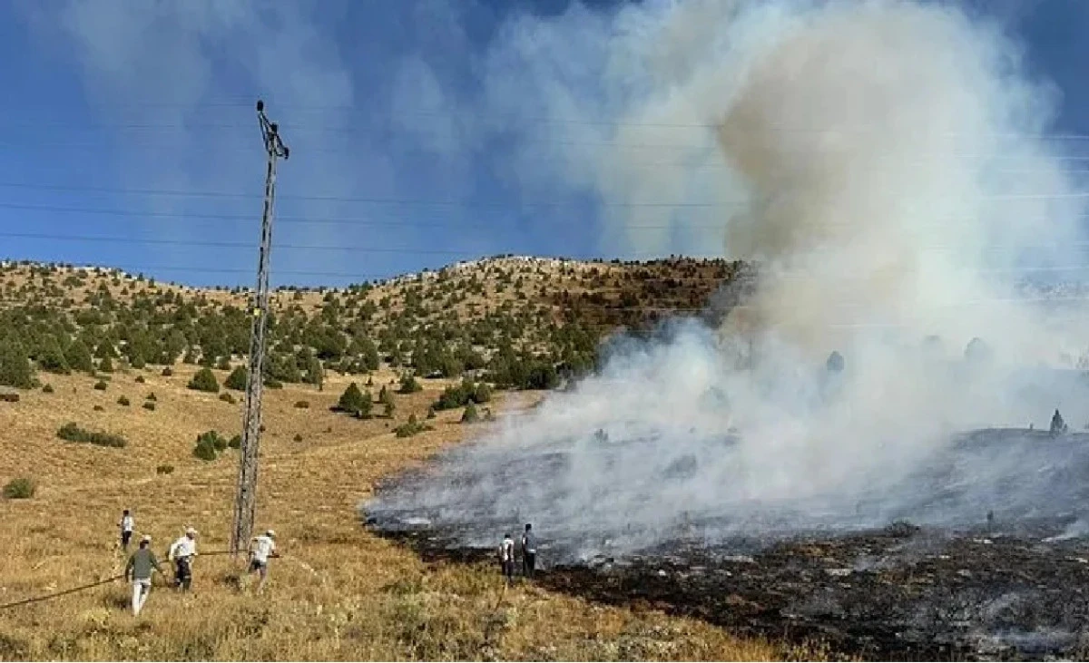 Yer : Adana / Tufanbeyli... Anız yakmayla başlayan yanın kontrol altına alındı!