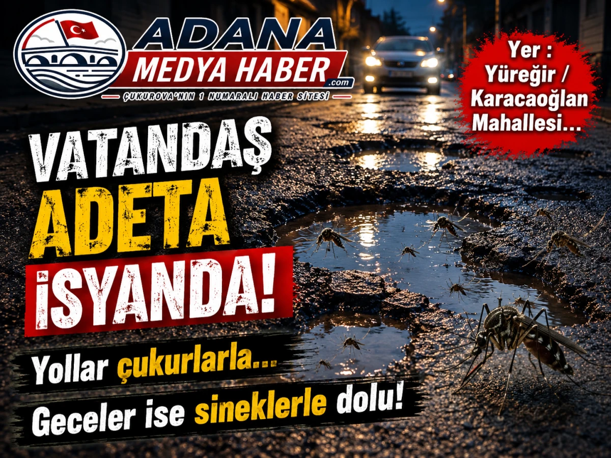 Yer : Y&uuml;reğir / Karacaoğlan Mahallesi... VATANDAŞ ADETA İSYANDA! Yollar &ccedil;ukurlarla... Geceler ise sineklerle dolu! 