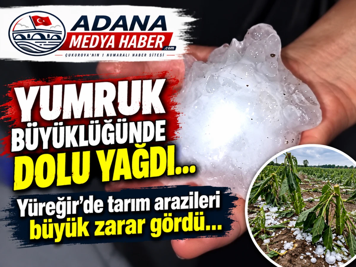 Yumruk B&uuml;y&uuml;kl&uuml;ğ&uuml;nde dolu yağdı... Y&uuml;reğir'de tarım arazileri b&uuml;y&uuml;k zarar g&ouml;rd&uuml;... 